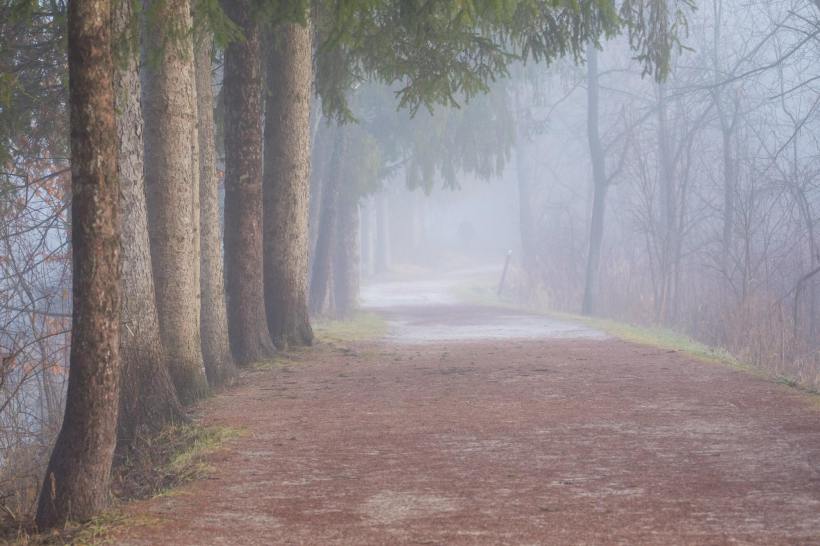 16143795_10211964485452298_510144116821688529_o