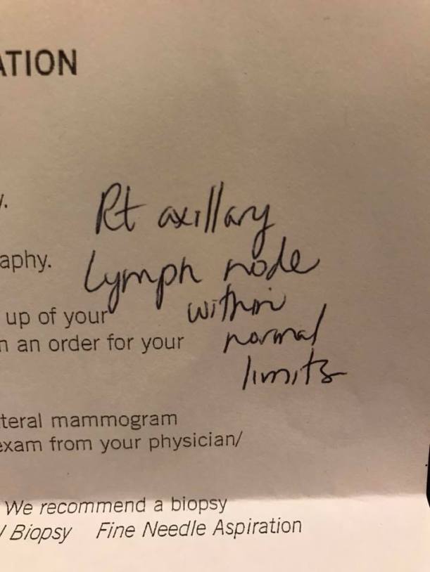 29213954_10215846207732929_5798532366336361104_n